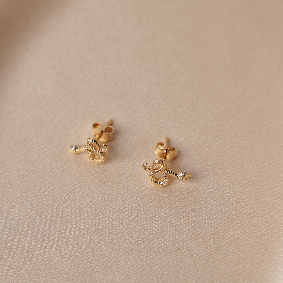 Boucles d'oreilles Serpent