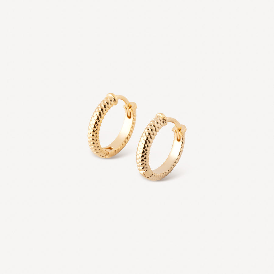 Python Hoops
