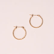 Iridescent Earrings