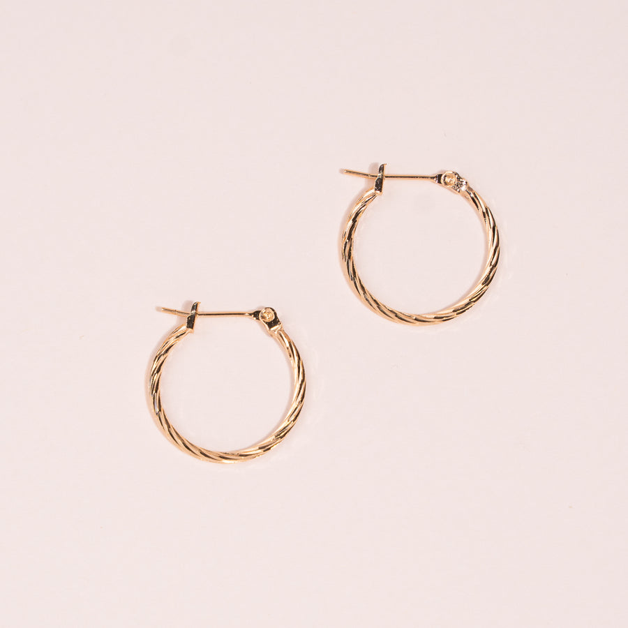 Iridescent Earrings